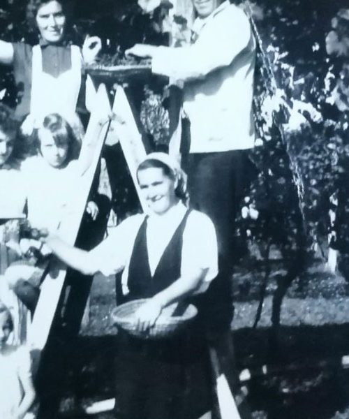 Trgatev in običaji – ljudske pesmi, plesi in navade ob grozdju