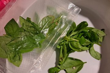 Kako ohraniti poletno svežino bazilike tudi pozimi? To je eden od načinov