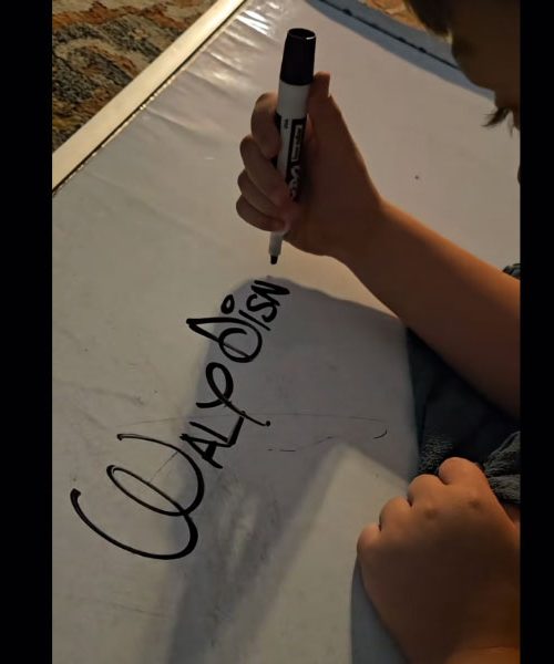 Otroška ustvarjalnost na TikToku: ko Walt Disney oživi na tabli