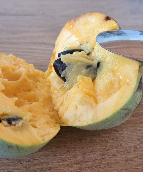 Kako pravilno jemo asimino? To je eksotični sadež, ki raste tudi pri nas