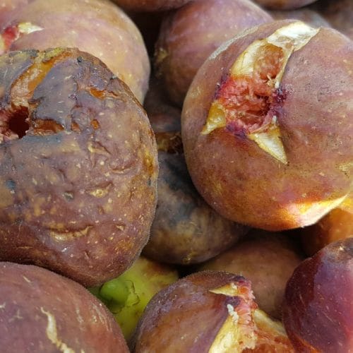 Kako shranjevati fige, česen, čebulo, šalotko, ingver in grozdje, da ostanejo dlje sveži