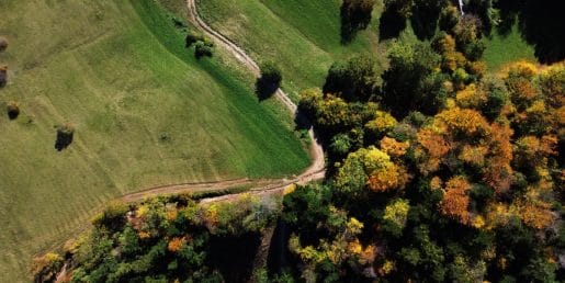 Oktober 2026: kdaj so počitnice, polna luna, premik ure, praznik in pokojnine?