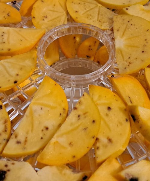 Kaj pomenijo črne pike na kakijih in ali so sadeži še primerni za sušenje?