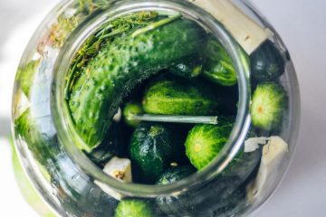 Fermentacija za začetnike – strokovni nasveti za prve korake