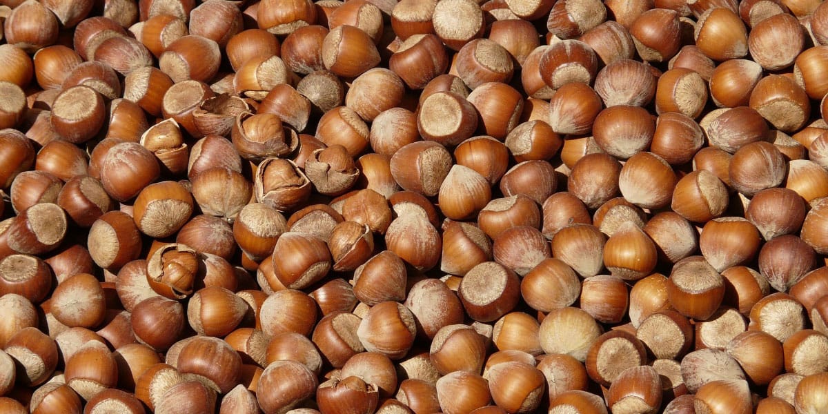 Lešniki
