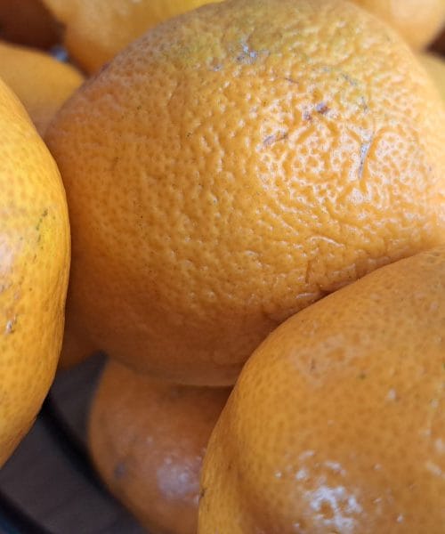 Mandarine so odličen sadež, a imajo eno napako