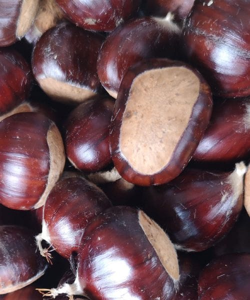 Našli smo enostavno rešitev, kako preprosto olupiti marone