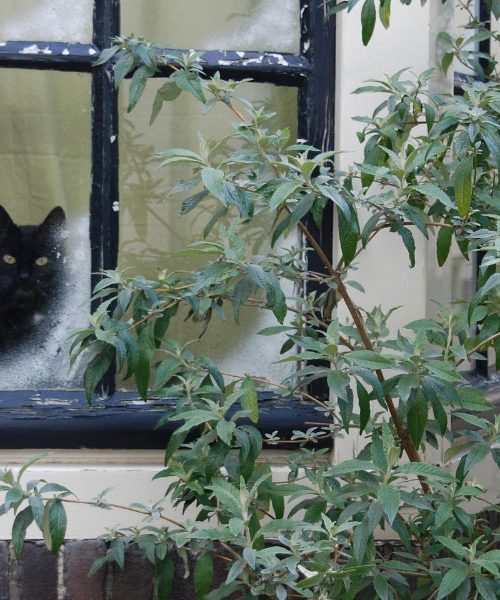 Če imate doma to napako pri oknih, izgubljate toploto – preverite v petih minutah