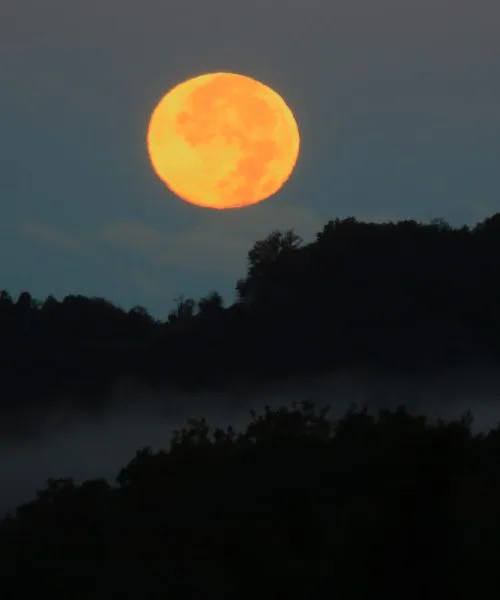 Polne lune 2026: datumi, imena in pomen skozi leto
