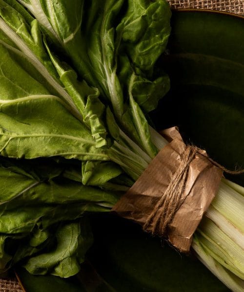 Raštika – pozabljena kraljica mediteranskih vrtov, ki znova osvaja naše krožnike