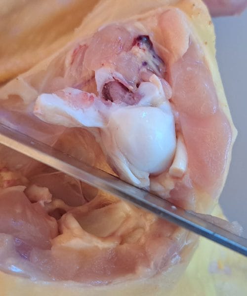 Je res vseeno, kako razrežete piščančje meso? Strokovnjaki opozarjajo na eno ključno napako