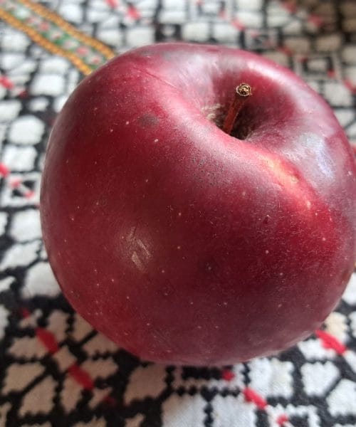 Jabolka rdeči delišes – to je ena najbolj prepoznavnih sort na svetu