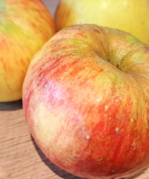 Jabolko Topaz – dragulj med slovenskimi sortami, ki nikoli ne razočara