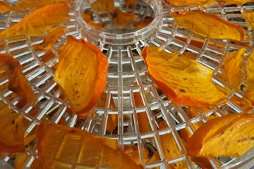 Če boste sušili kakije v sušilniku, ne pozabite na ta trik s pladnji