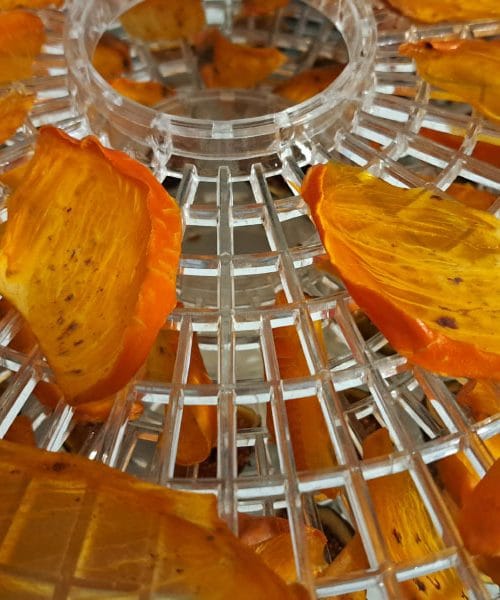 Če boste sušili kakije v sušilniku, ne pozabite na ta trik s pladnji