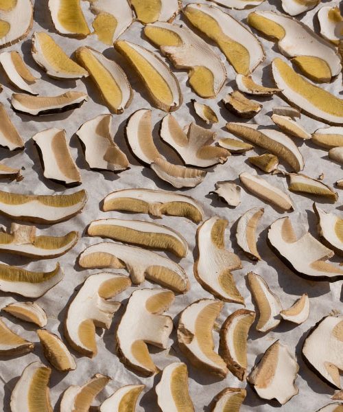 Najboljša metoda za sušenje gob doma – brez plesni in grenkobe