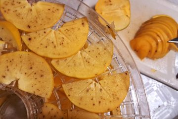 Kaj se zgodi s trpkim kakijem, ko ga posušimo – presenetljiva znanost o sladkosti