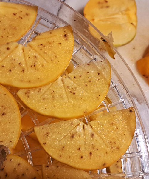 Kaj se zgodi s trpkim kakijem, ko ga posušimo – presenetljiva znanost o sladkosti