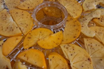 Zakaj kaki med sušenjem potemni in kako to preprečiti?