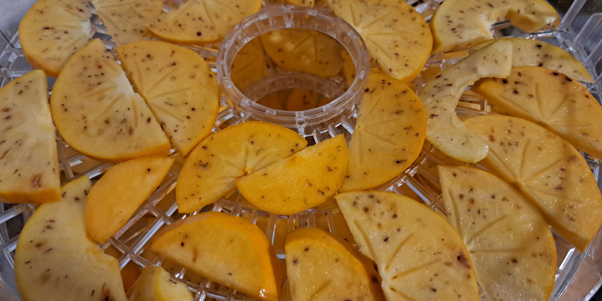 Zakaj kaki med sušenjem potemni in kako to preprečiti?