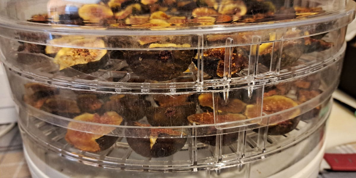 Sušenje sadja, fige