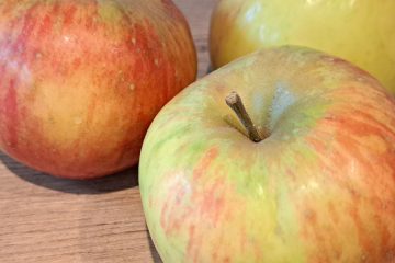 To so živila, ki jih s shranjevanjem v mrazu dejansko pokvarimo