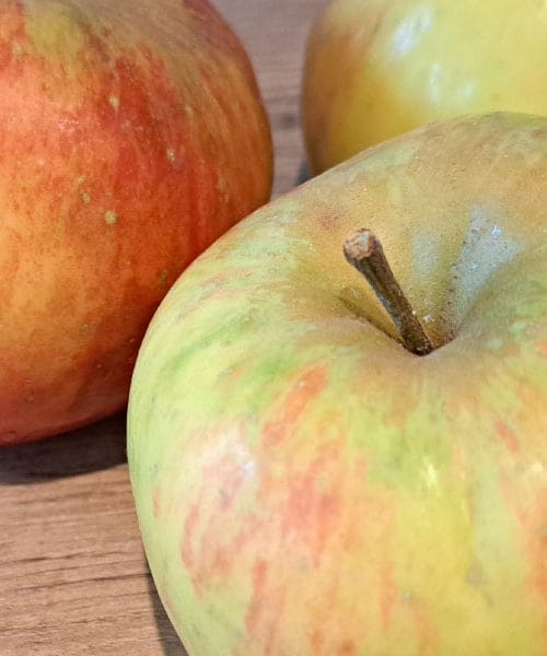 To so živila, ki jih s shranjevanjem v mrazu dejansko pokvarimo