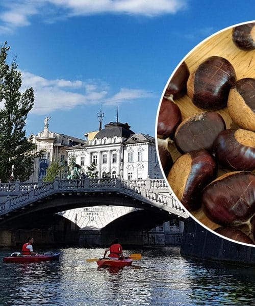 Ulice v Sloveniji, ki nosijo ime kostanja