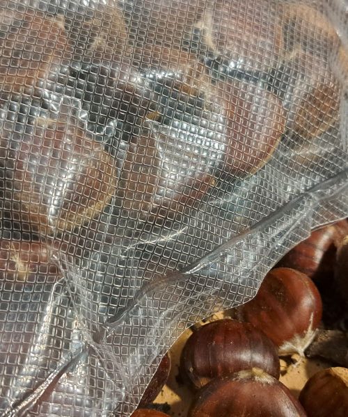 Tako morate shraniti kostanj, da ostane svež več tednov