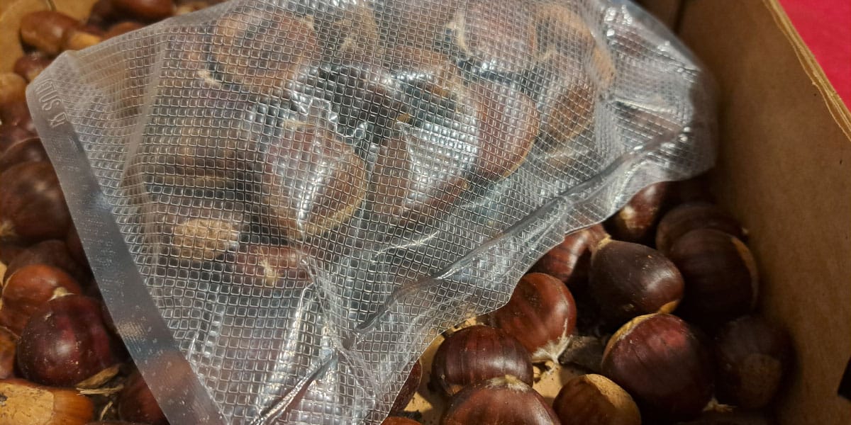 Vakuumiranje kostanja