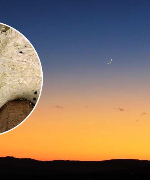 Kakšen je vpliv lune na kisanje zelja? Spoznajte razlike!