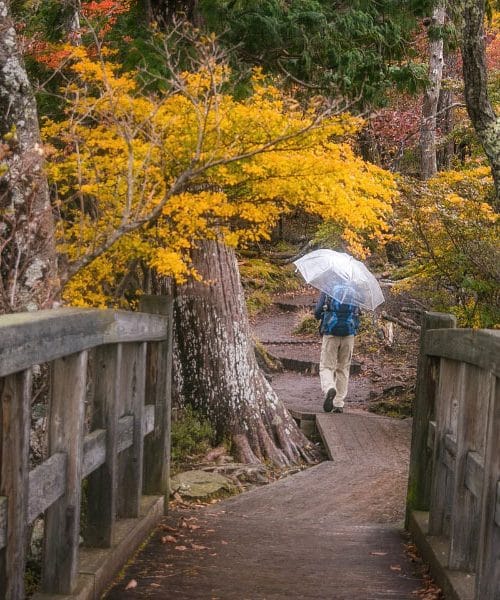 Zgodovina dežnika vas bo presenetila bolj, kot si mislite