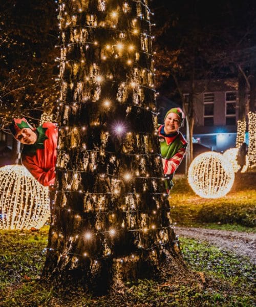 V tem našem mestu bodo letos prvič pripravili adventni čudež