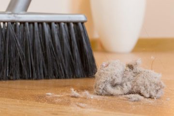 To je razlog, zakaj prah pri vas vztraja – in kako ga pregnati