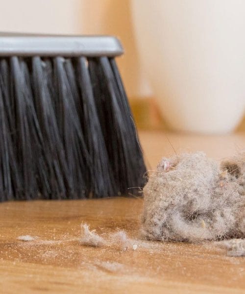 To je razlog, zakaj prah pri vas vztraja – in kako ga pregnati