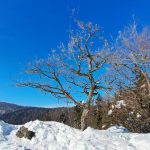 Sneženje, čisti zrak