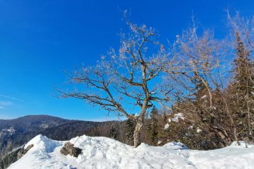 Zakaj imamo po sneženju občutek, da je zrak bolj čist?