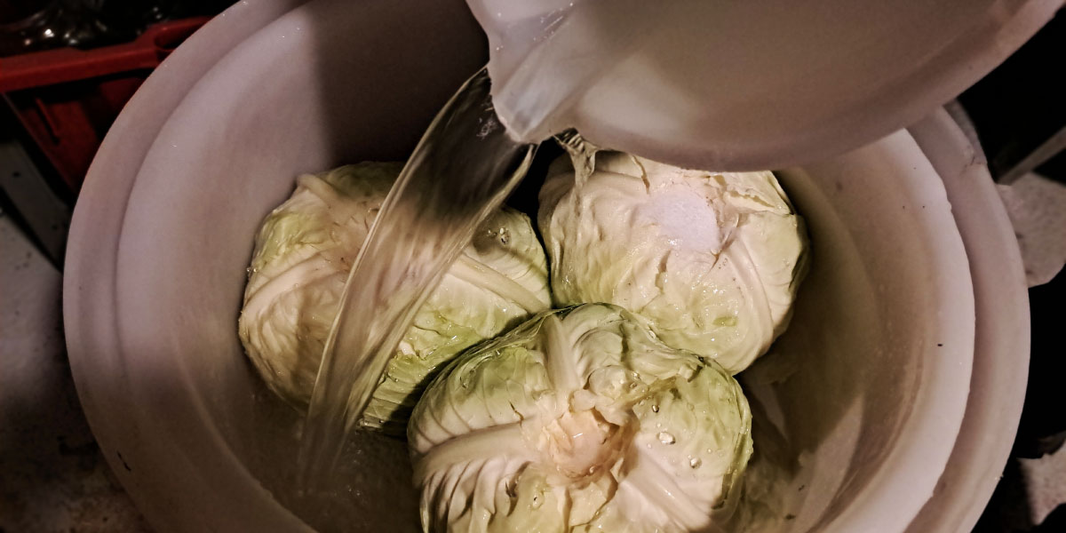 Dolivanje vode, kisanje zeljnatih glav