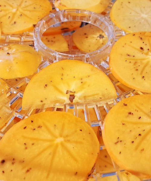 S tem pripomočkom iz kuhinje boste najbolj enakomerno narezali kakije za sušenje