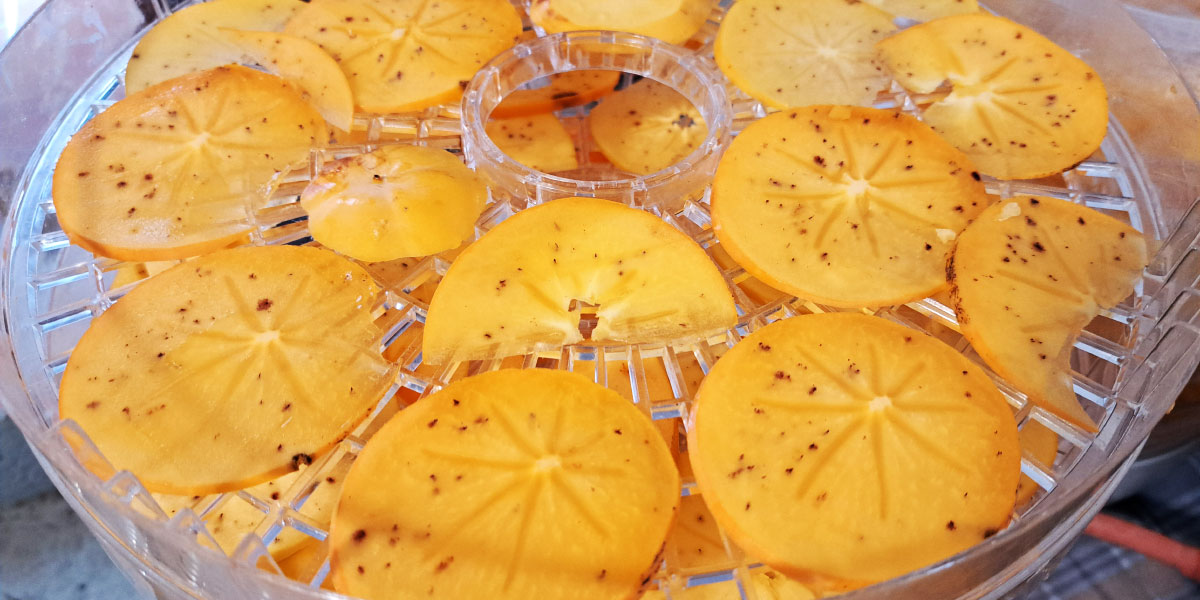 Enakomerno narezani kakiji za sušenje