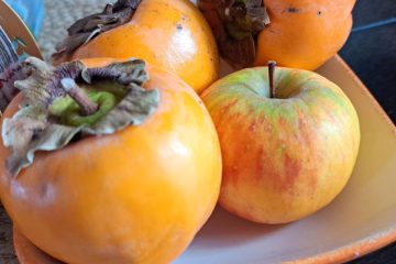 Zaradi tega razloga je bilo na mizi pri babici ob kakijih zmeraj eno jabolko