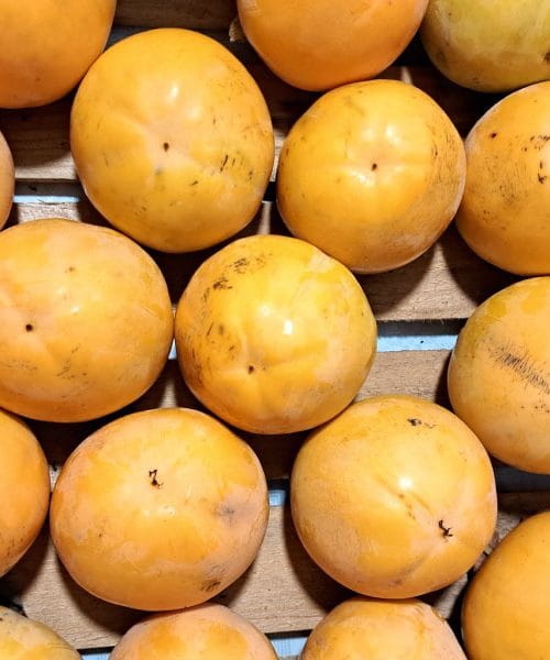 Dober razlog, da kakije po obiranju shranimo obrnjene navzdol