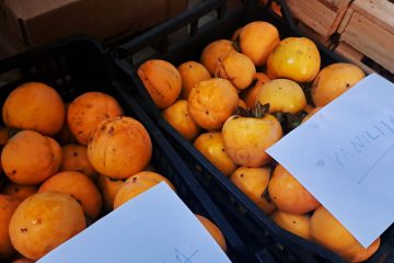 Shranjevanje kakijev po obiranju – ali jih lahko zložimo enega nad drugega?