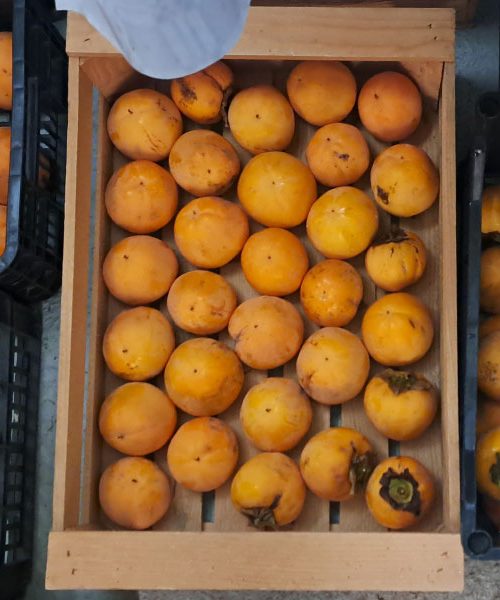 Recept za kakijev liker, ki ga lahko pripravite doma