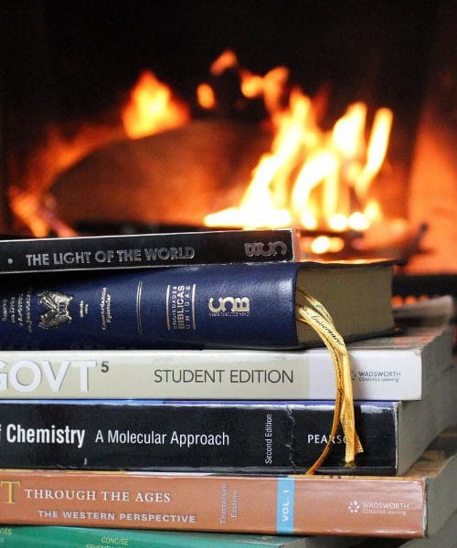 Če doma nimate možnosti za kamin, si ga lahko ustvarite tudi tako