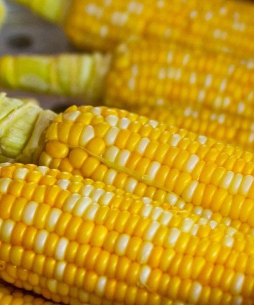 Koruza – zlato narave, ki hrani telo in krepi zdravje