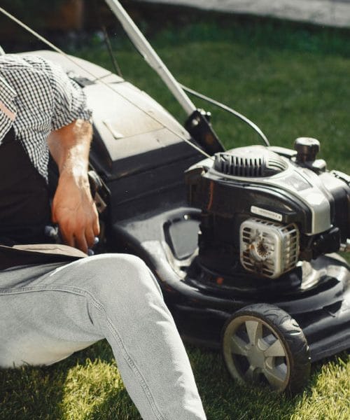 Kdaj na vrtu opravimo prvo košnjo in na kaj moramo biti pozorni