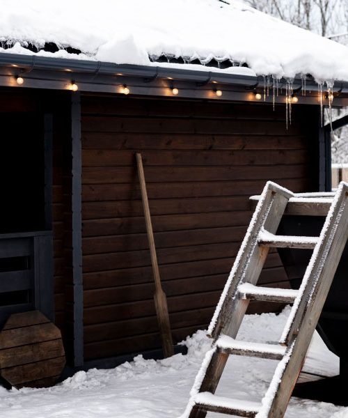 Pet zimskih opravil, ki smo jih kot otroci oboževali