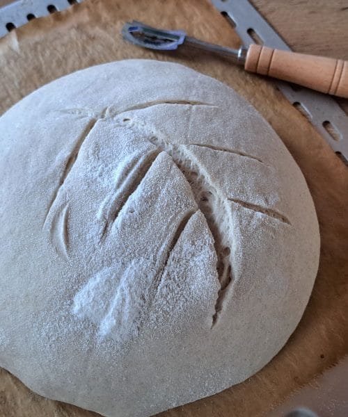 Največja napaka pri pripravi testa za kruh ni voda, ampak panika