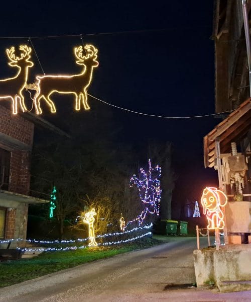 V vasi na Dolenjskem letos ne bo novoletnih lučk in okrasitve